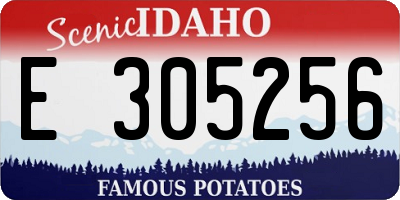 ID license plate E305256