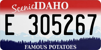 ID license plate E305267