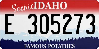 ID license plate E305273