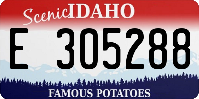 ID license plate E305288