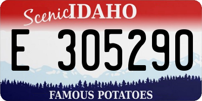 ID license plate E305290