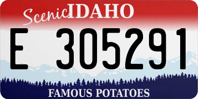 ID license plate E305291