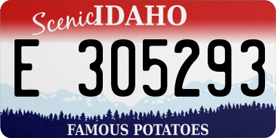 ID license plate E305293