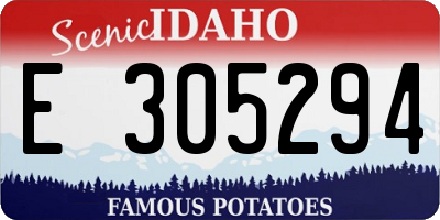 ID license plate E305294