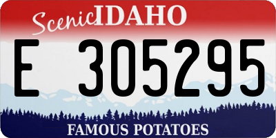 ID license plate E305295