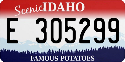 ID license plate E305299