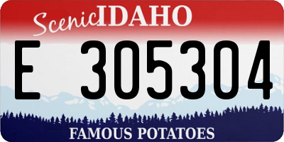 ID license plate E305304