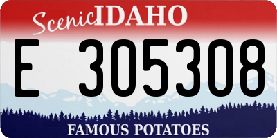 ID license plate E305308