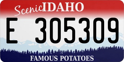 ID license plate E305309