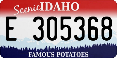ID license plate E305368