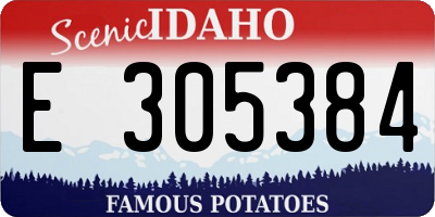 ID license plate E305384