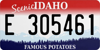 ID license plate E305461