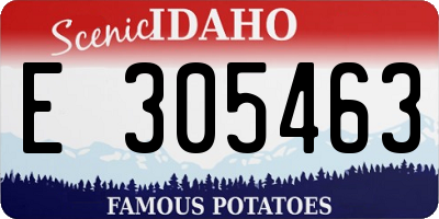 ID license plate E305463