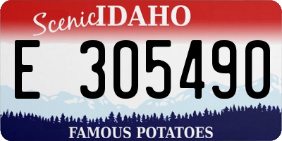 ID license plate E305490