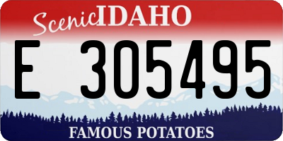 ID license plate E305495