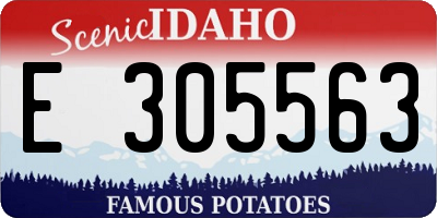 ID license plate E305563