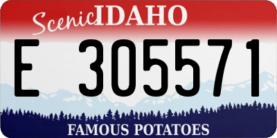 ID license plate E305571
