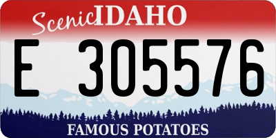 ID license plate E305576