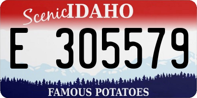 ID license plate E305579