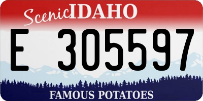 ID license plate E305597