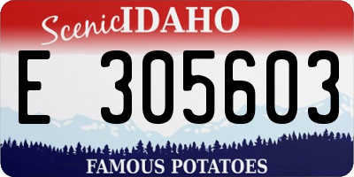 ID license plate E305603