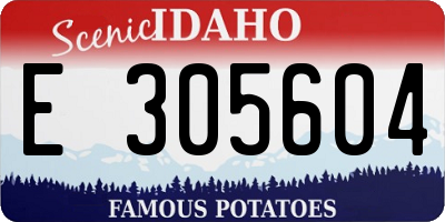 ID license plate E305604
