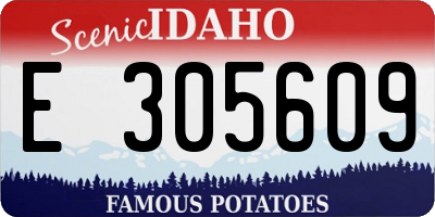 ID license plate E305609