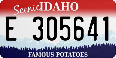 ID license plate E305641