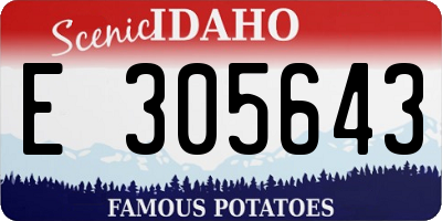 ID license plate E305643