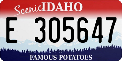 ID license plate E305647