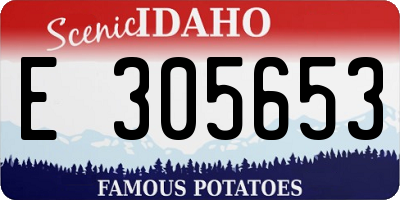 ID license plate E305653