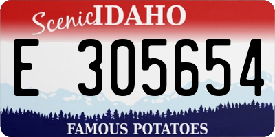 ID license plate E305654