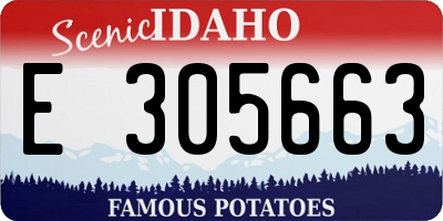 ID license plate E305663