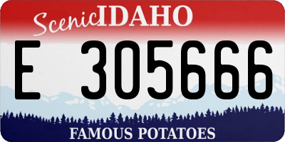 ID license plate E305666