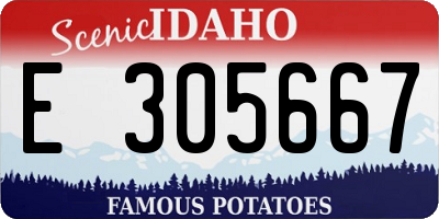ID license plate E305667