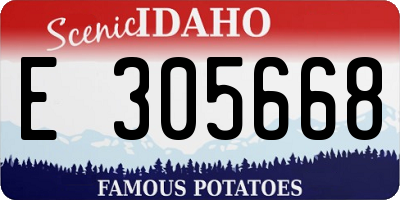 ID license plate E305668