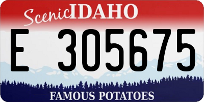 ID license plate E305675