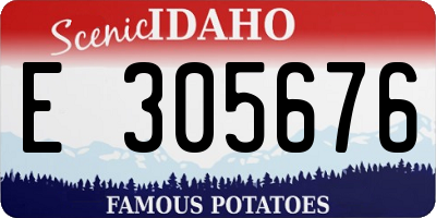 ID license plate E305676