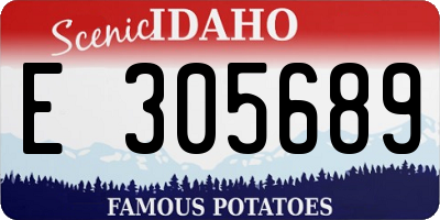 ID license plate E305689