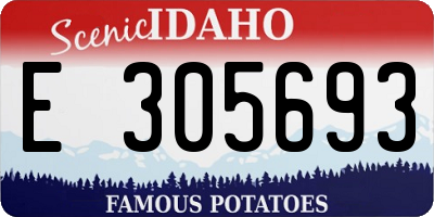 ID license plate E305693