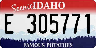 ID license plate E305771