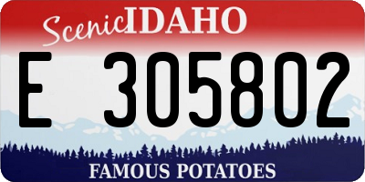 ID license plate E305802