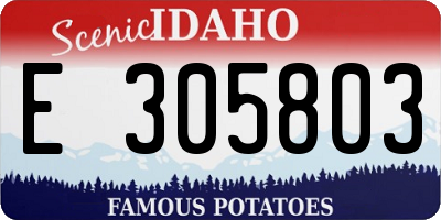 ID license plate E305803