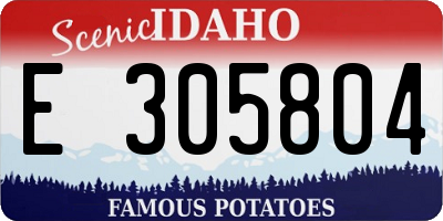 ID license plate E305804