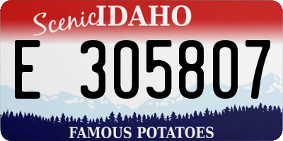 ID license plate E305807