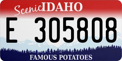 ID license plate E305808