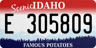 ID license plate E305809