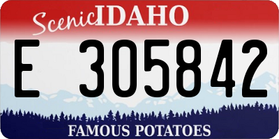 ID license plate E305842