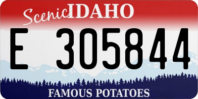 ID license plate E305844