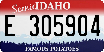 ID license plate E305904